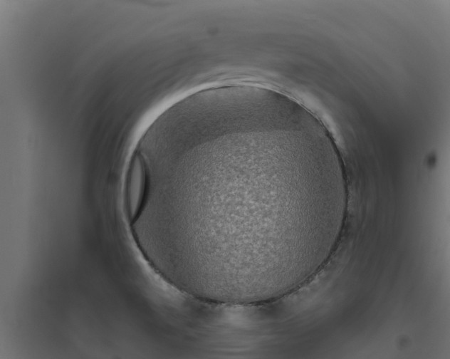 X0000094791520200711241350