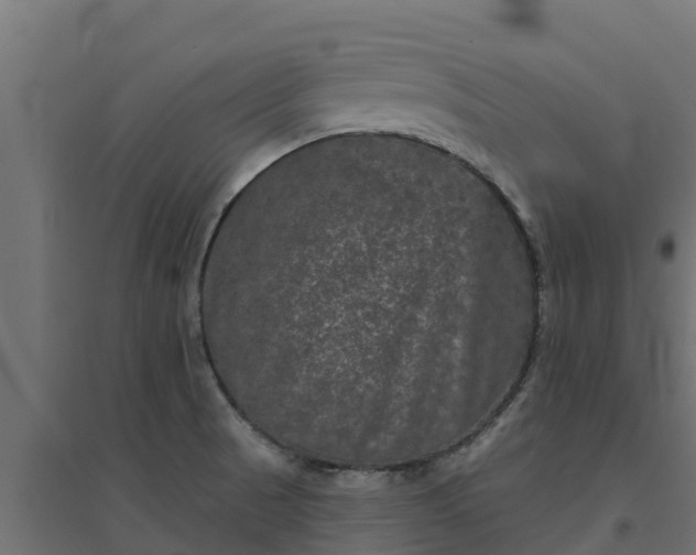 X0000094791521200711241350