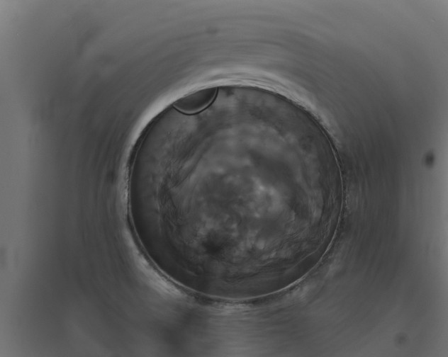 X0000094791522200711241350