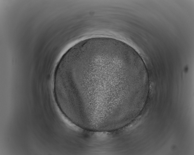 X0000094791523200711241350