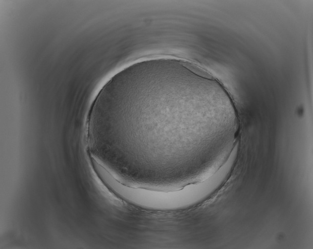 X0000094791524200711241350