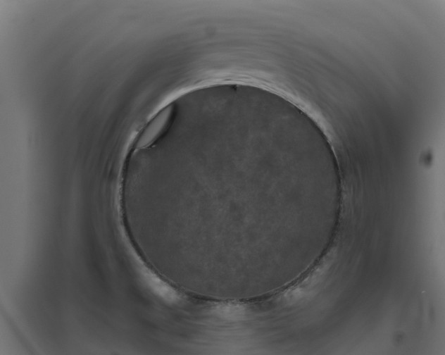 X0000094791525200711241350