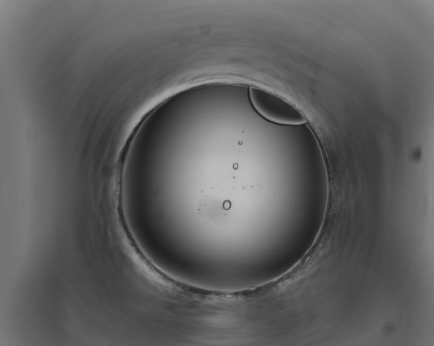 X0000094791526200711241350