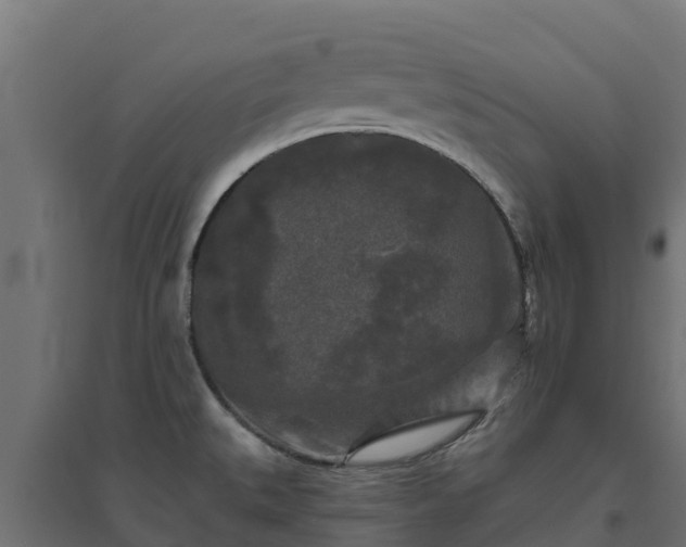 X0000094791527200711241350