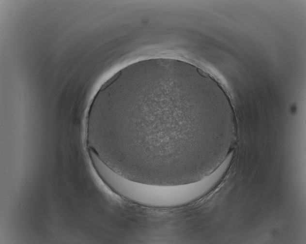 X0000094791528200711241350