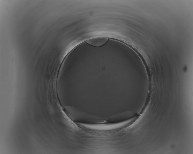 X0000094791529200711241350