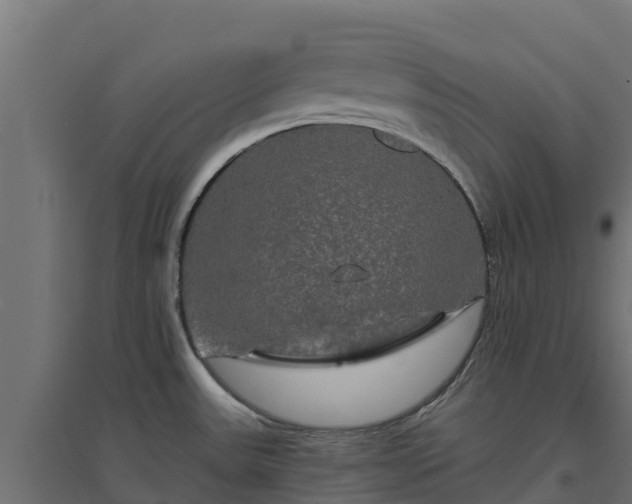 X0000094791531200711241350