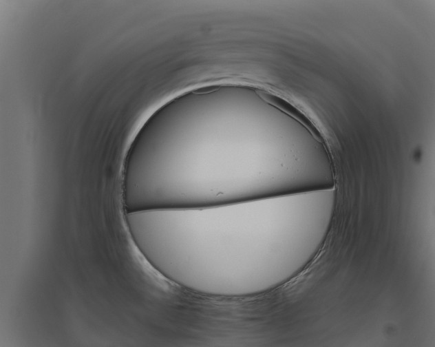 X0000094791532200711241350