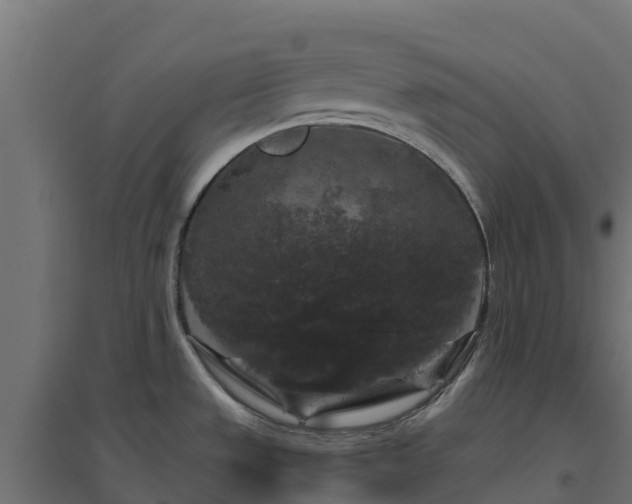 X0000094791533200711241350