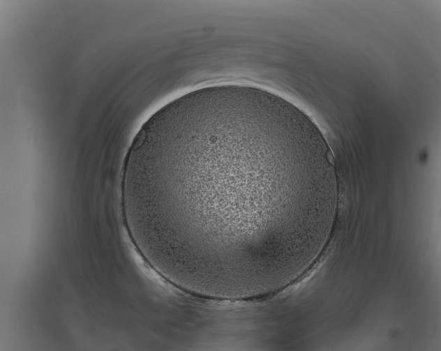 X0000094791534200711241350