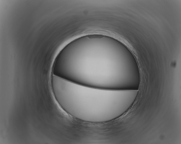 X0000094791536200711241350