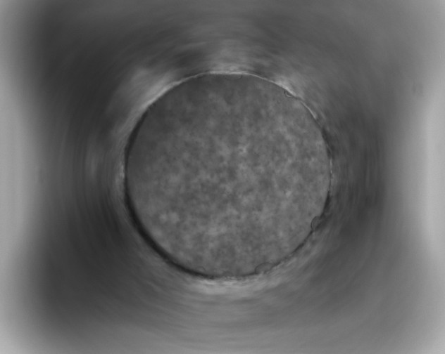 X0000094790005200711301615