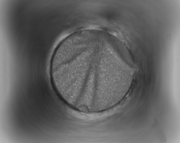 X0000094790006200711301615