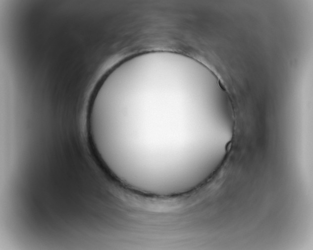 X0000094790008200711301615