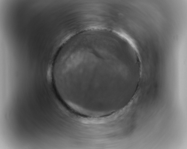 X0000094790009200711301615