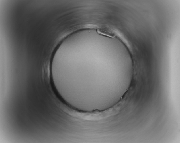 X0000094790011200711301615