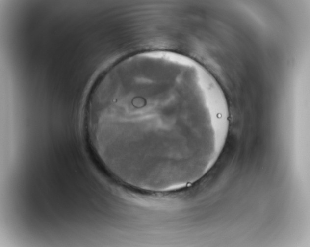 X0000094790012200711301615