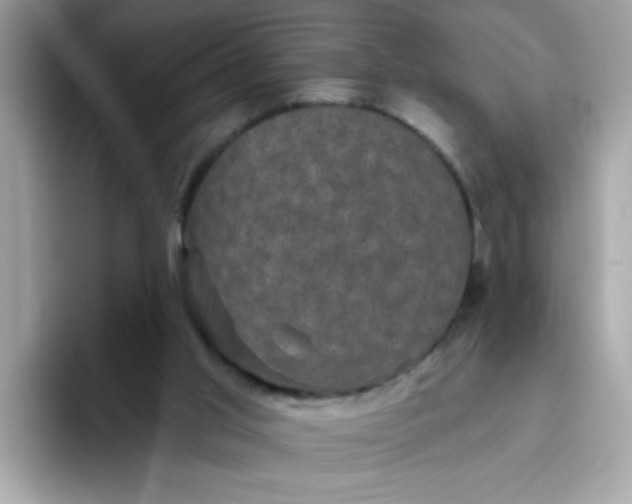 X0000094790013200711301615