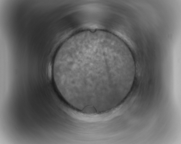 X0000094790014200711301615