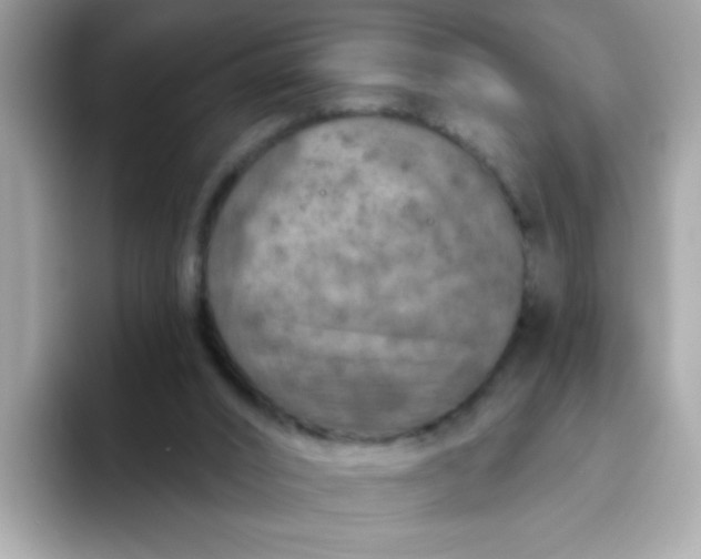 X0000094790016200711301615