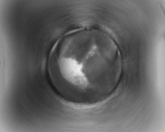 X0000094790018200711301615