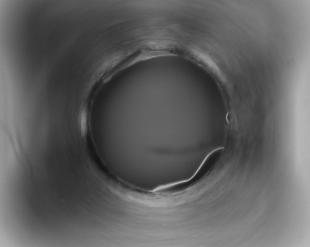 X0000094790019200711301615