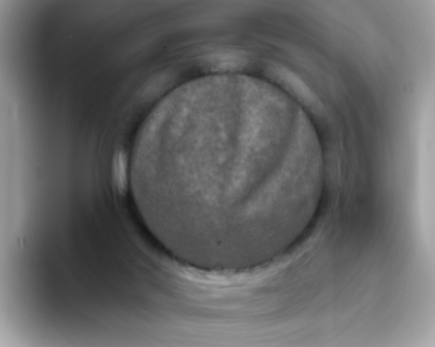 X0000094790022200711301615