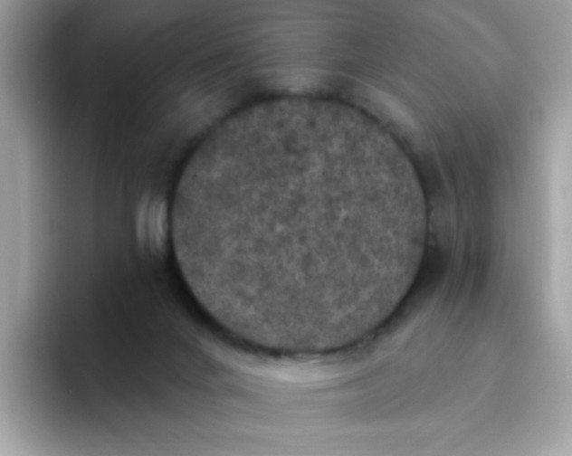 X0000094790024200711301615