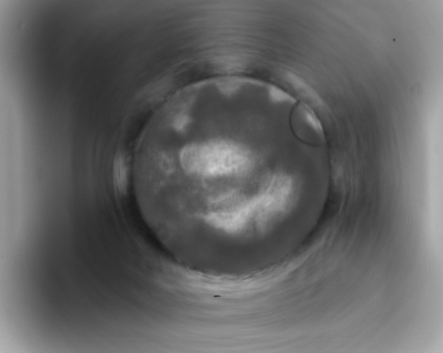 X0000094790026200711301615