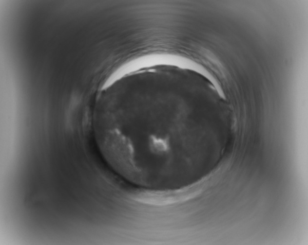 X0000094790029200711301615