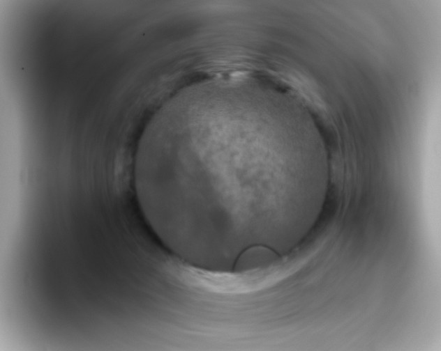 X0000094790030200711301615