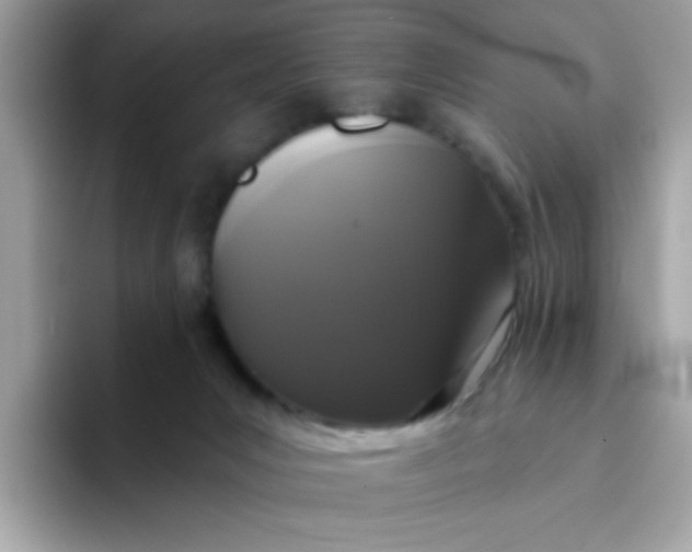 X0000094790031200711301615