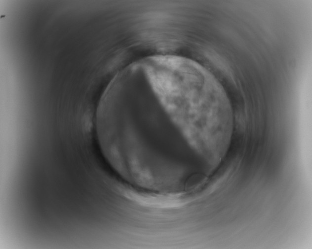 X0000094790032200711301615