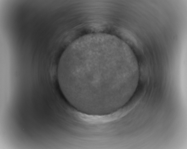 X0000094790034200711301615