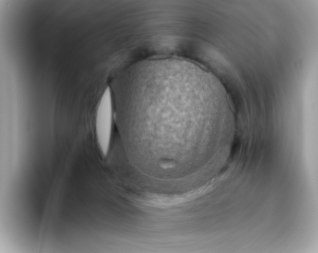 X0000094790037200711301615