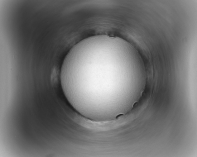 X0000094790038200711301615