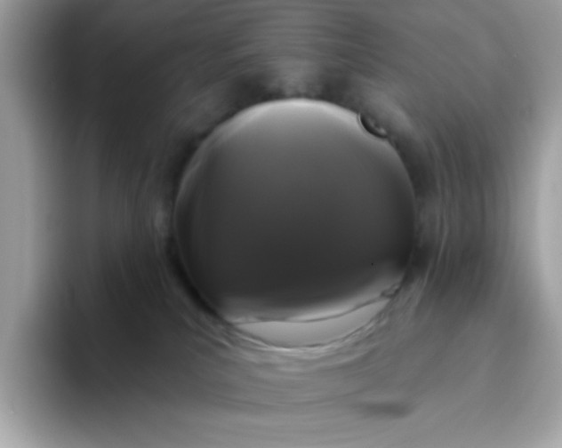 X0000094790039200711301615