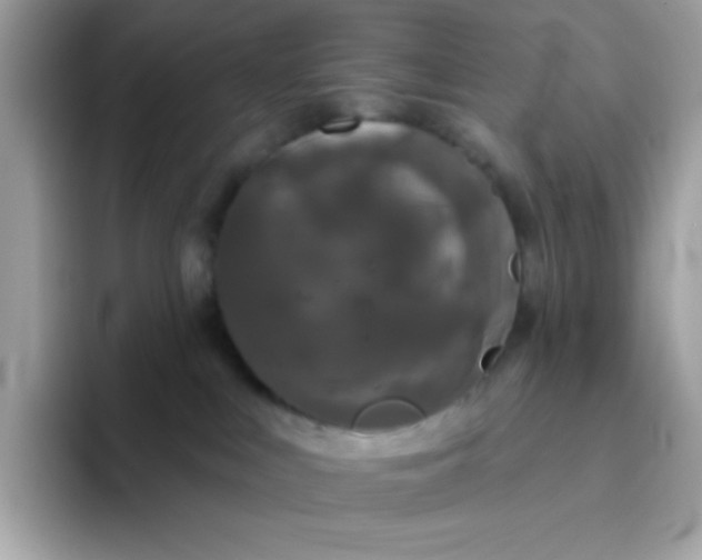 X0000094790043200711301615