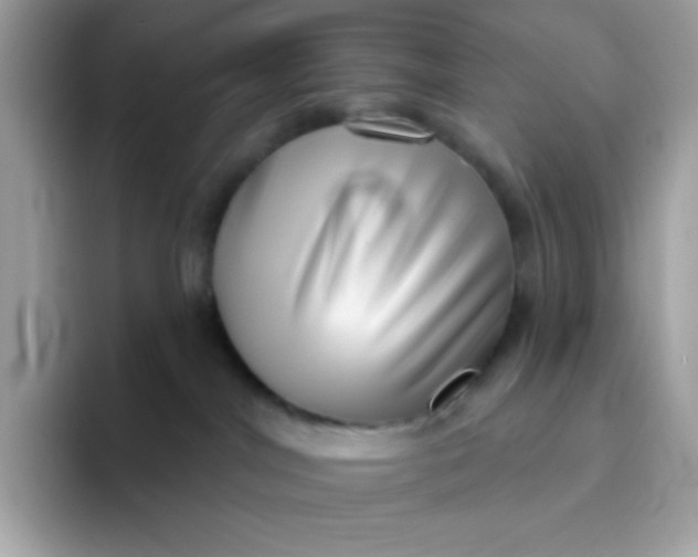 X0000094790044200711301615