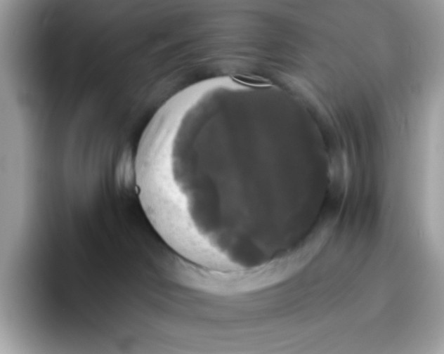 X0000094790046200711301615