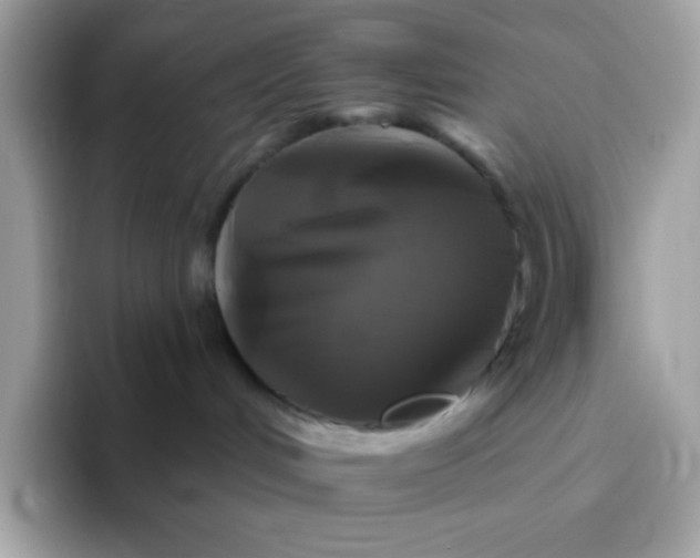 X0000094790048200711301615