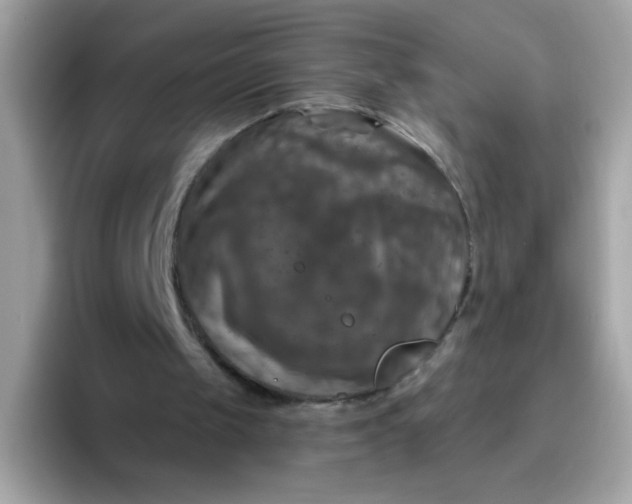 X0000094790049200711301614