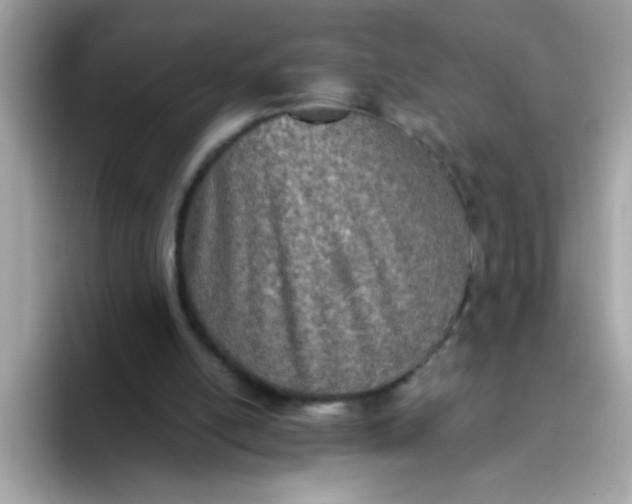 X0000094790054200711301614