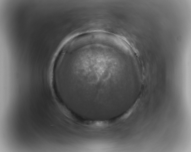 X0000094790056200711301614