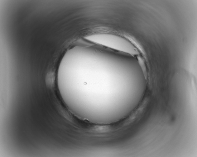 X0000094790057200711301614