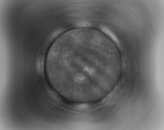 X0000094790058200711301614