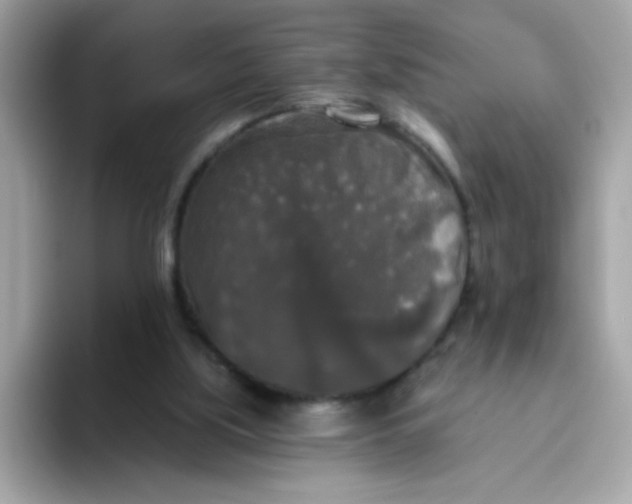 X0000094790059200711301614