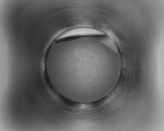 X0000094790060200711301614