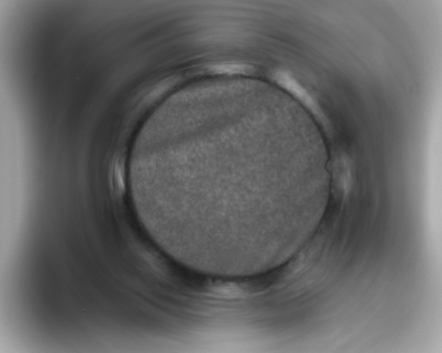 X0000094790062200711301614