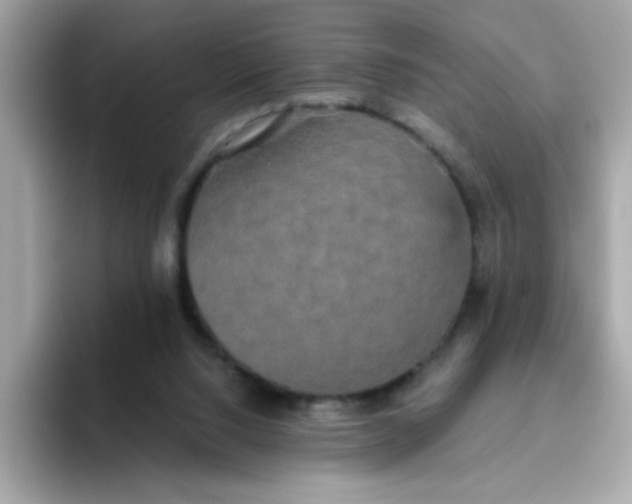 X0000094790064200711301614